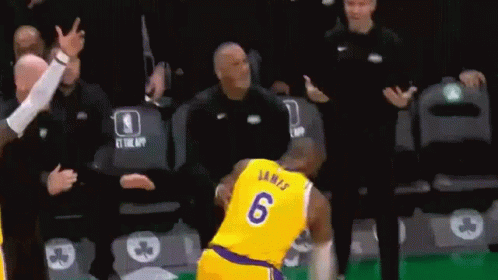 :lebron-lebron-foul:
