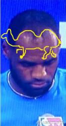 post-55599-0-35376600-1420270882_thumb.j