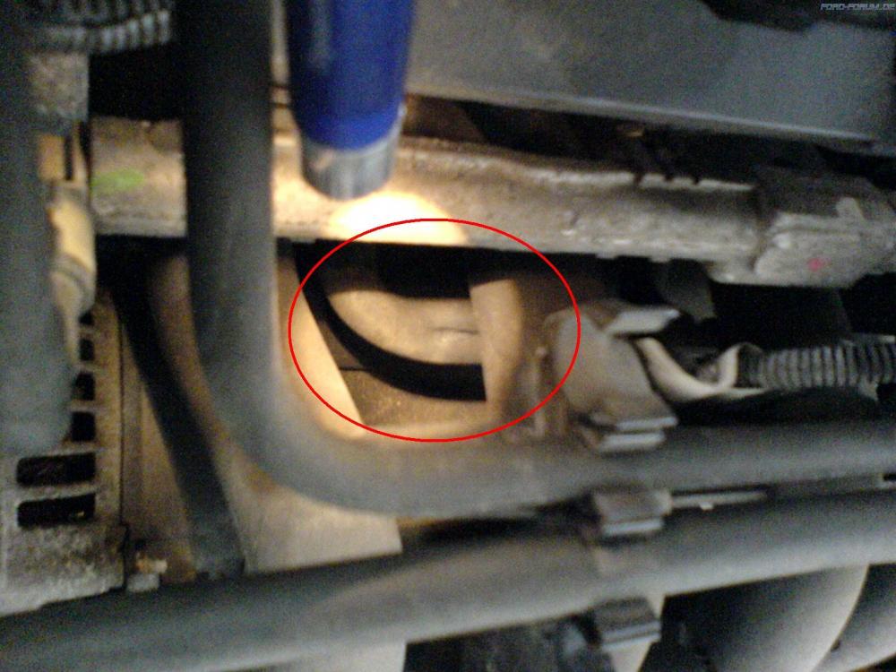 file.thumb.jpg.dddea74c390ac366d2635d266