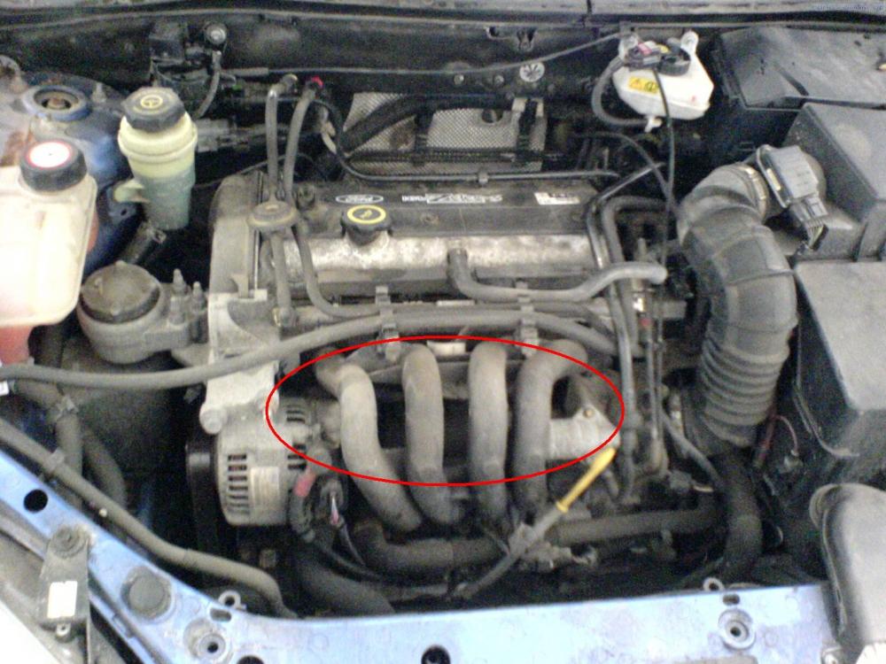 file_(1).thumb.jpg.1626f3c21bec5b7e7d7dd