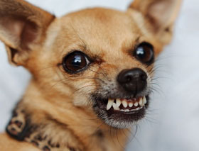 image.jpeg.4b90223f26e2ab0d92a11ff06b05e