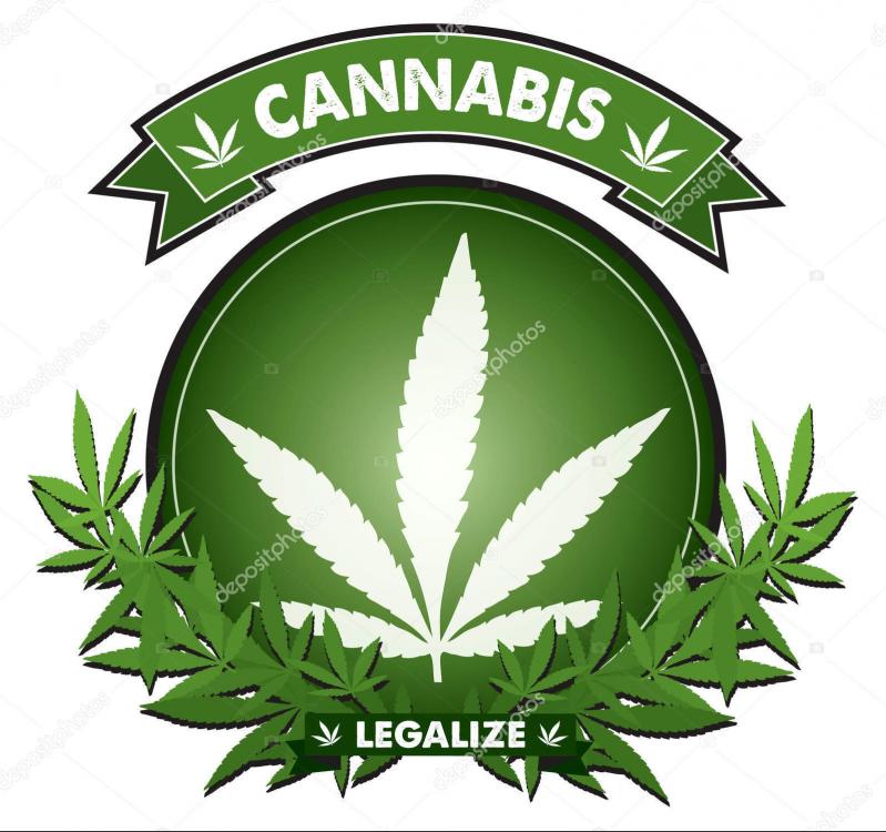 depositphotos_175250810-stock-illustration-cannabis-badge-design-vector(1).thumb.jpg.f758aa97822cc04410af000b0294fc77.jpg