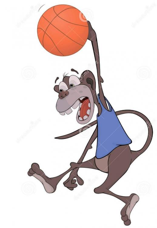 monkey-basketball-player-ball-dark-blue-vest-41067639~2.jpg