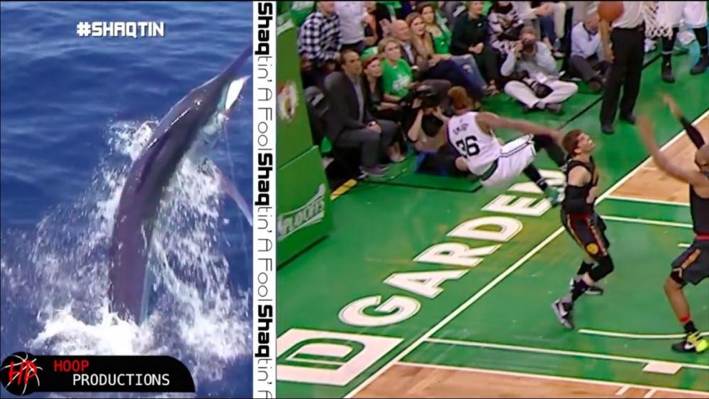 maxresdefault (3).jpg