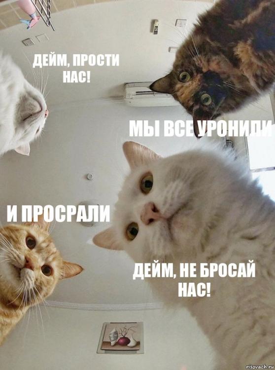 risovach_ru.thumb.jpg.6ebed7d0078297621c13091c9fccc495.jpg