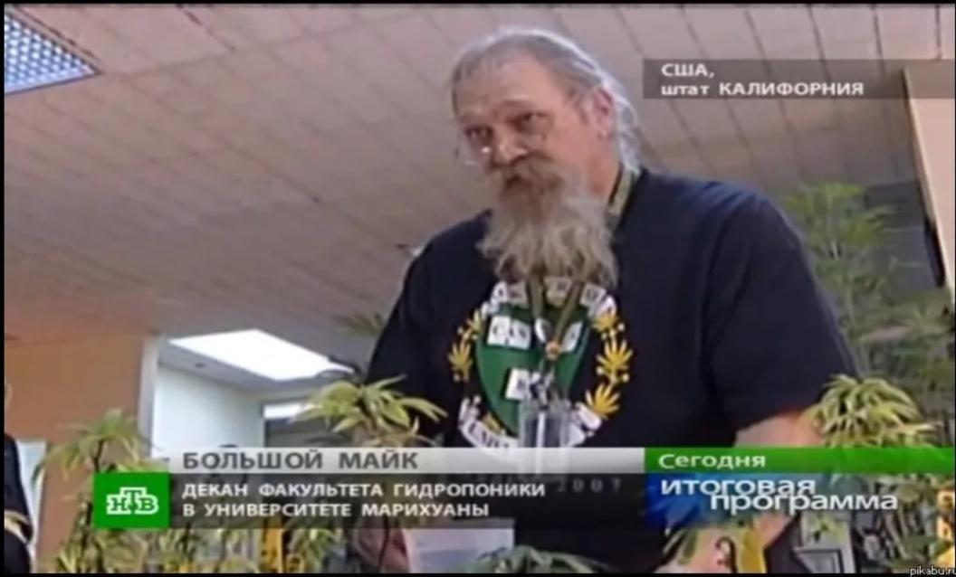 университет гидропоники и марихуаны