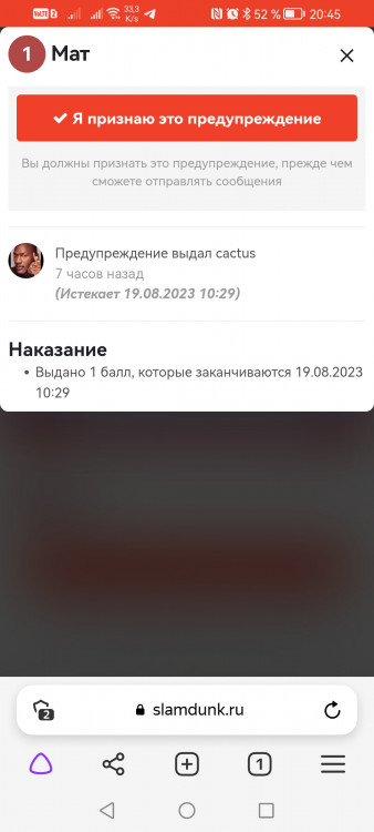 Screenshot_20230812_204543_com.yandex.browser.jpg