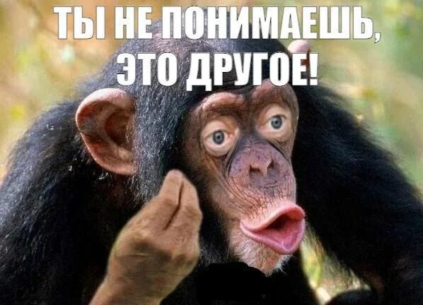 17798881704403996560933880493597.jpg.8763479753967ca2edb025524c4007b6.jpg
