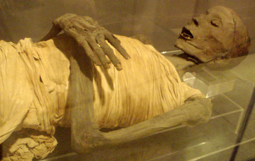 Mummy-UpperClassEgyptianMale-SaitePeriod_RosicrucianMuseum.thumb.png.b590d89ff3c4103c4558422b3e9791ca.png
