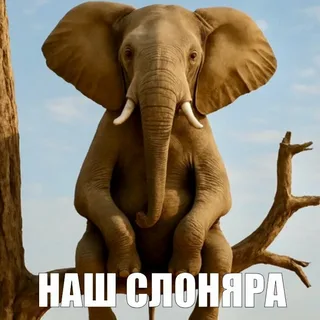 image.png.8a1f7a7492615965eb24984597c3250c.png